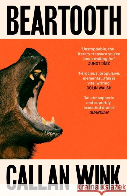 Beartooth Callan Wink 9781803510989