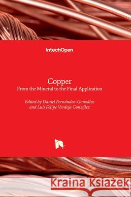 Copper - From the Mineral to the Final Application Daniel Fern?nde Luis Felipe Verdej 9781803565095 Intechopen