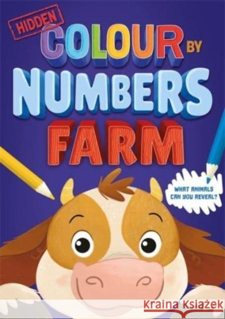 Hidden Colour By Numbers: Farm Igloo Books 9781803681573 Bonnier Books Ltd