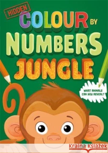 Hidden Colour By Numbers: Jungle Igloo Books 9781803681580