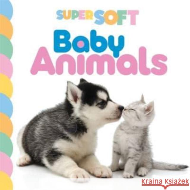 Super Soft Baby Animals Autumn Publishing 9781803684710 Bonnier Books Ltd