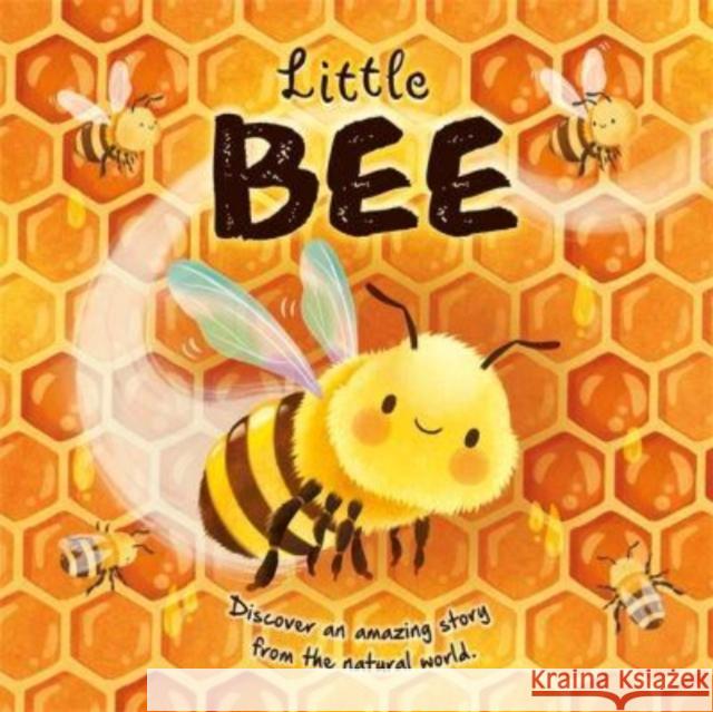 Little Bee Autumn Publishing 9781803685700