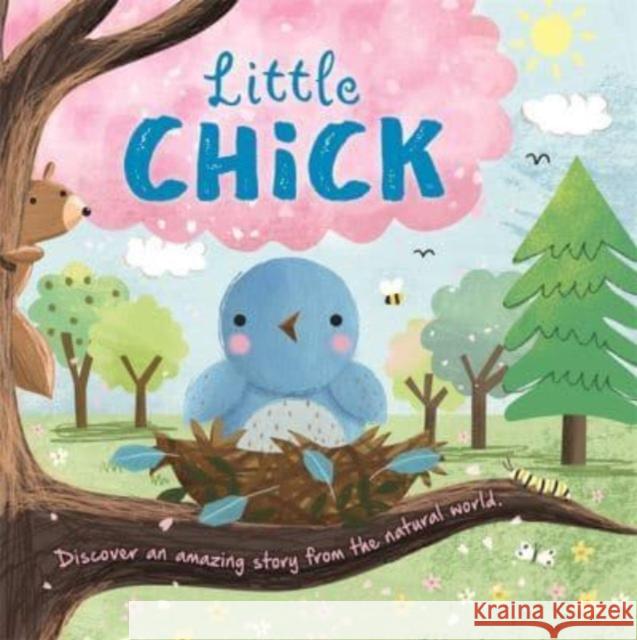 Little Chick Igloo Books 9781803686363 Bonnier Books Ltd