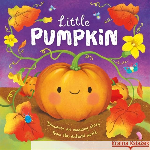 Little Pumpkin Autumn Publishing 9781803686462 Bonnier Books Ltd