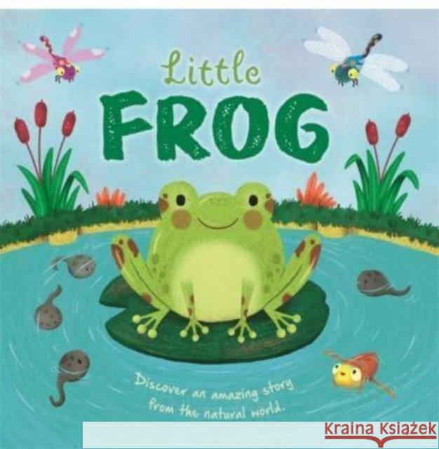 Little Frog Autumn Publishing 9781803687636 Bonnier Books Ltd