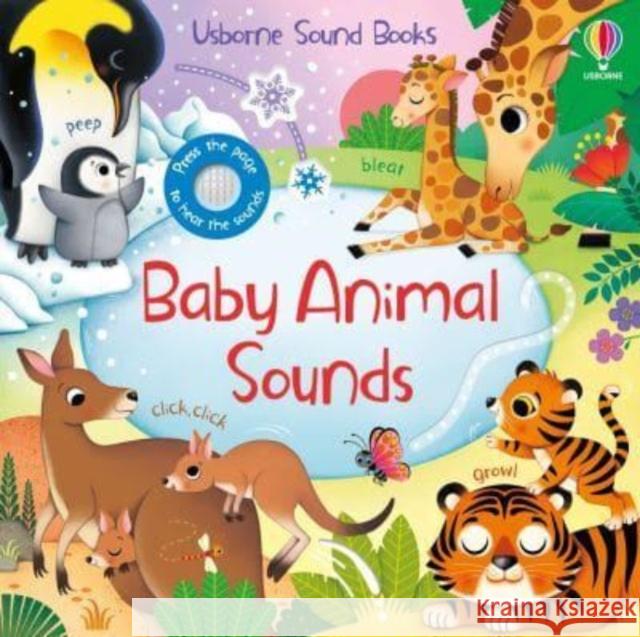 Baby Animal Sounds Sam Taplin 9781803700977