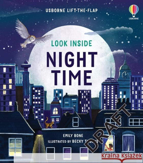 Look Inside Night Time Emily Bone 9781803701264