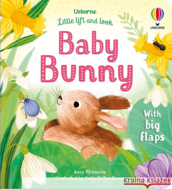 Little Lift and Look Baby Bunny Anna Milbourne 9781803701653 Usborne Publishing Ltd