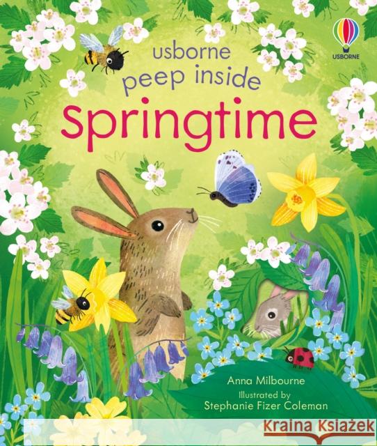 Peep Inside Springtime Anna Milbourne 9781803704340