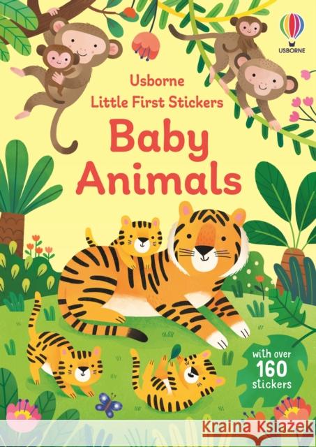 Little First Stickers Baby Animals Jane (EDFR) Bingham 9781803704579 Usborne Publishing Ltd