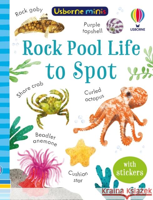 Rock Pool Life to Spot Simon Tudhope 9781803704753