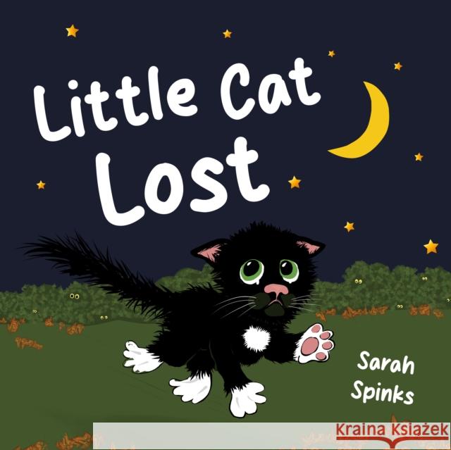 Little Cat Lost Sarah Spinks 9781803783260