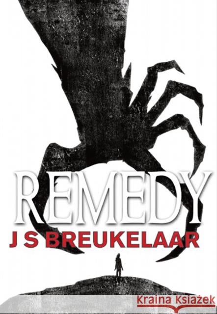 Remedy J.S. Breukelaar 9781803944845