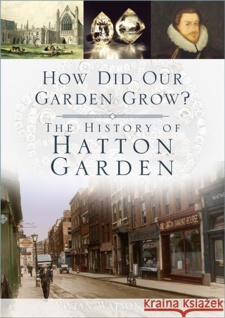 How Did Our Garden Grow?: The History of Hatton Garden Vivian Watson 9781803990415