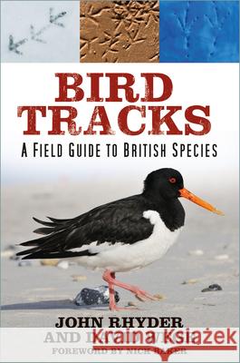 Bird Tracks: A Field Guide to British Species David Wege 9781803991702 The History Press Ltd