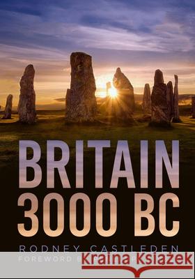 Britain 3000 BC Rodney Castleden 9781803995557 The History Press Ltd