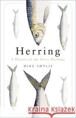 Herring: A History of the Silver Darlings Mike Smylie 9781803996936 The History Press Ltd