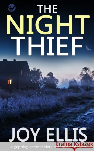 THE NIGHT THIEF a gripping crime thriller full of stunning twists Joy Ellis 9781804051092 Joffe Books
