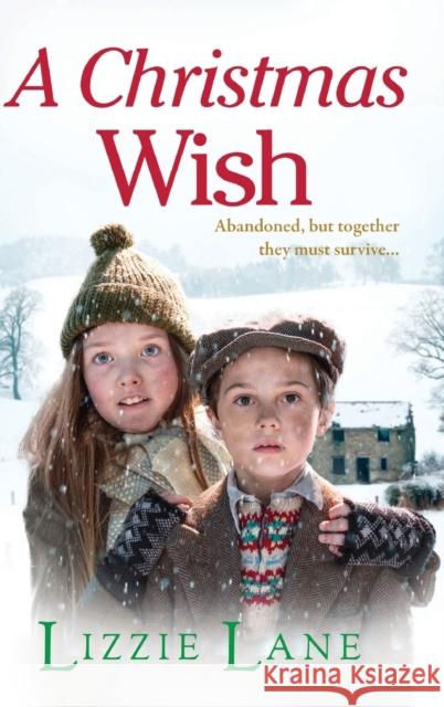 A Christmas Wish Lane, Lizzie 9781804159231 Boldwood Books Ltd