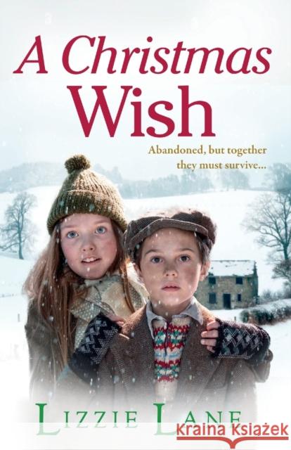 A Christmas Wish Lane, Lizzie 9781804159248 Boldwood Books Ltd