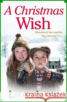 A Christmas Wish Lizzie Lane 9781804159255 Boldwood Books Ltd