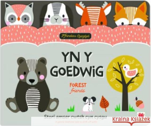 Ffrindiau Cysglyd: yn y Goedwig / Sleepyheads: Forest Friends Cooke, Elizabeth 9781804162682