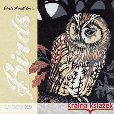 Chris Pendleton's Birds Mini Wall Calendar 2023 (Art Calendar) Flame Tree Studio 9781804171226 