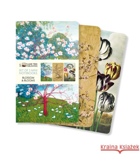 Blossoms & Blooms Set of 3 Mini Notebooks  9781804171974 Flame Tree Publishing