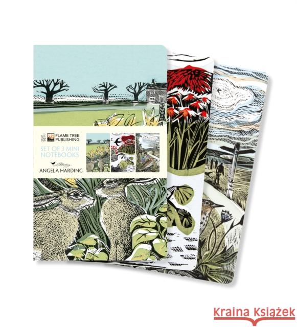 Angela Harding: Landscapes Set of 3 Mini Notebooks  9781804171981 Flame Tree Publishing