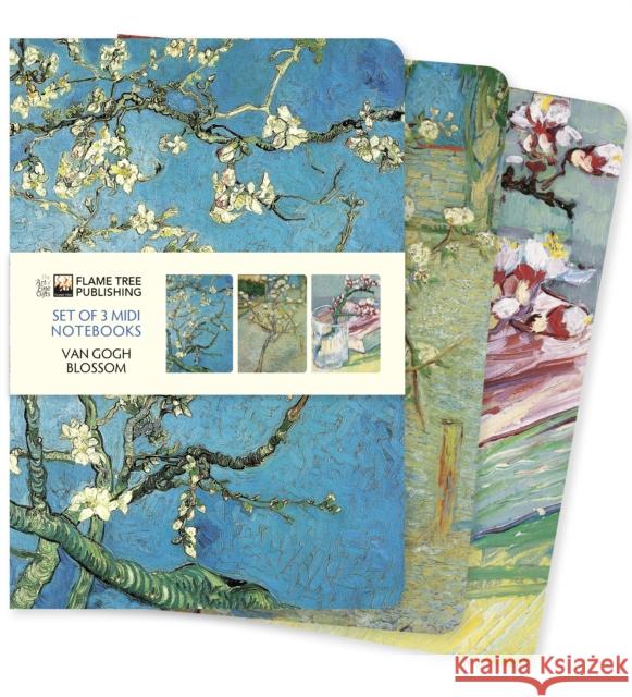 Vincent van Gogh: Blossom Set of 3 Midi Notebooks  9781804172179 Flame Tree Gift