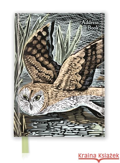 Angela Harding: Marsh Owl (Address Book) Flame Tree Studio 9781804173596 Flame Tree Publishing