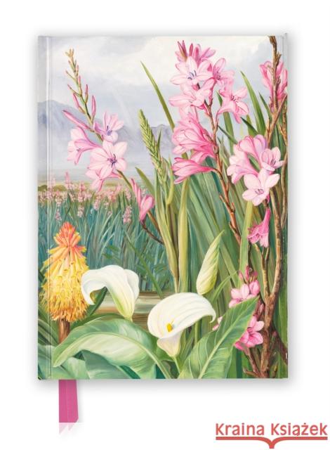 Kew Gardens: Marianne North: Beauties of the Swamps at Tulbagh (Foiled Journal) Flame Tree Studio 9781804176214