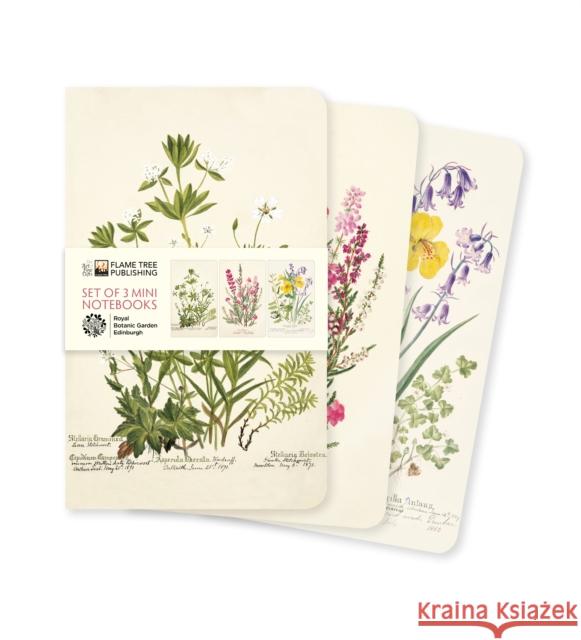 Royal Botanic Garden Edinburgh Set of 3 Mini Notebooks Flame Tree Studio 9781804176429