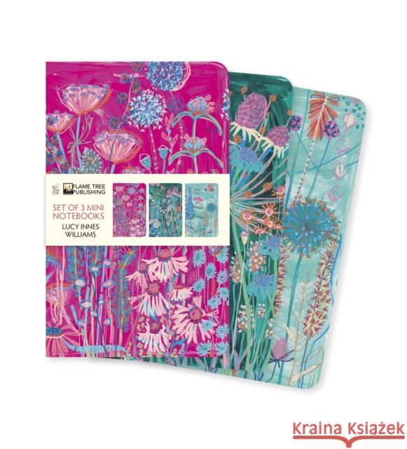 Lucy Innes Williams Set of 3 Mini Notebooks Flame Tree Studio 9781804176436 Flame Tree Gift