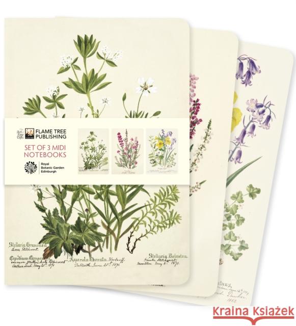 Royal Botanic Garden Edinburgh Set of 3 Midi Notebooks  9781804177778 Flame Tree Publishing