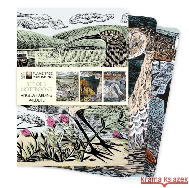 Angela Harding: Wildlife Set of 3 Standard Notebooks  9781804178379 Flame Tree Publishing