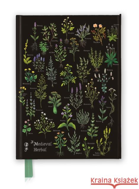 Anna Stead: A Medieval Herbal (Foiled Journal)  9781804179499 Flame Tree Publishing