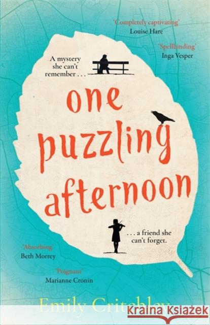 One Puzzling Afternoon: A heartbreaking, captivating mystery for fans of The List of Suspicious Things Emily Critchley 9781804181256
