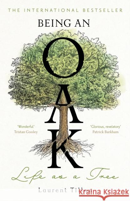Being an Oak: Life as a tree Laurent Tillon 9781804183403 Bonnier Books Ltd