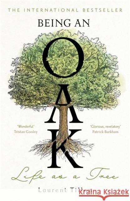 Being an Oak: Life as a tree Laurent Tillon 9781804183410 Bonnier Books Ltd