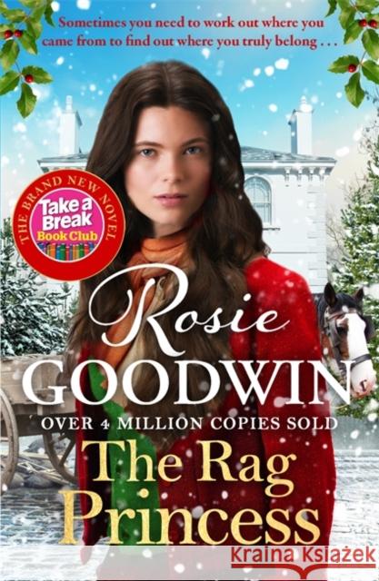 The Rag Princess: THE PERFECT GIFT THIS FESTIVE SEASON Rosie Goodwin 9781804188354