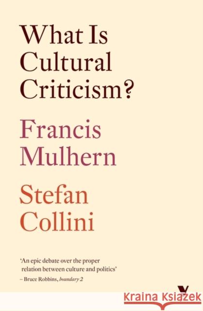 What Is Cultural Criticism? Francis Mulhern Stefan Collini 9781804293379 Verso