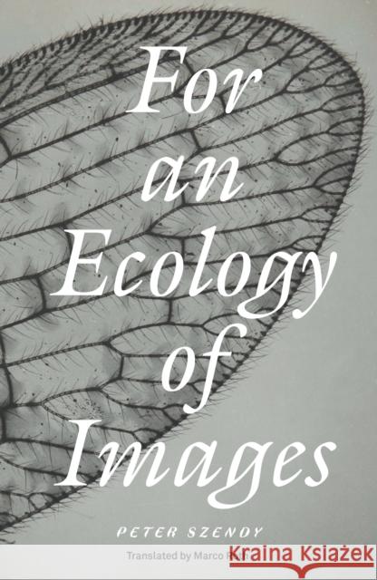 For an Ecology of Images Peter Szendy 9781804294314 Verso Books