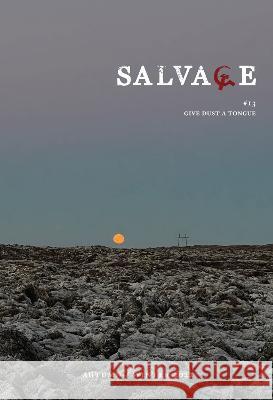 Salvage #13: Give Dust a Tongue Salvage   9781804295236 Verso Books