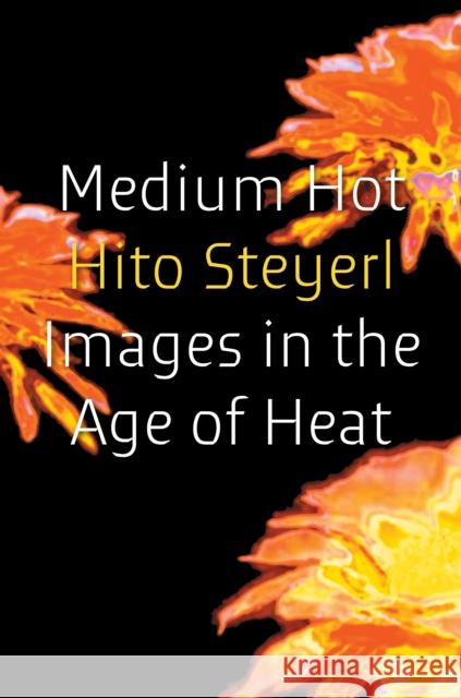 Medium Hot: Images in the Age of Heat Hito Steyerl 9781804298022