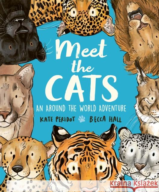 Meet the Cats Kate Peridot 9781804535462 Hachette Children's Group
