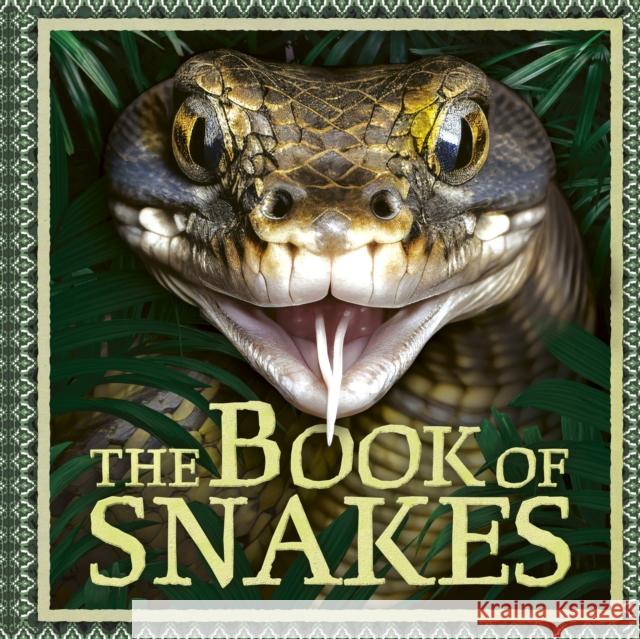 The Book of Snakes Welbeck Children's Books 9781804538333 Hachette Children's Group
