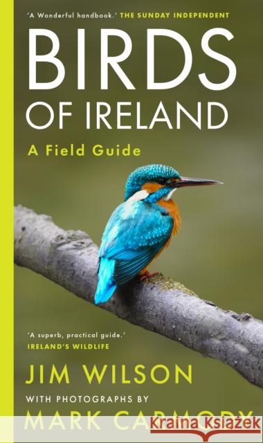 Birds of Ireland Mark Carmody 9781804580721