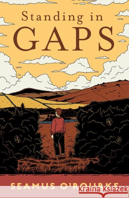 Standing in Gaps Seamus O'Rourke 9781804581483 Gill Books