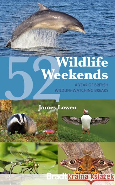 52 Wildlife Weekends: A Year of British Wildlife-Watching Breaks James Lowen 9781804691311 Bradt Travel Guides
